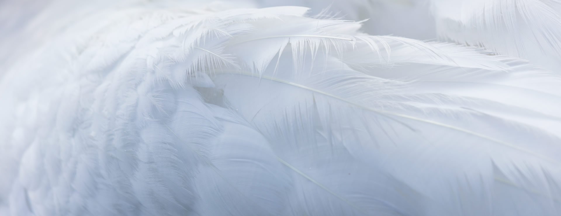 企業(yè)經(jīng)營(yíng)之本，力求言行一致。